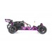 Baha 10B 2WD BRUSHLESS Buggy - PURPLE │ FREE SHIPPING Baha 10B 2WD BRUSHLESS Buggy - PURPLE │ FREE SHIPPING